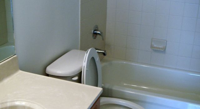 トイレの快適環境を守るために知っておきたい衛生設備と水回りケアの秘訣 トイレの快適環境を守るために知っておきたい衛生設備と水回りケアの秘訣
